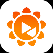 Use Sunflower Remote Control to achieve efficient collaboration between equipment operation and maintenance and remote office